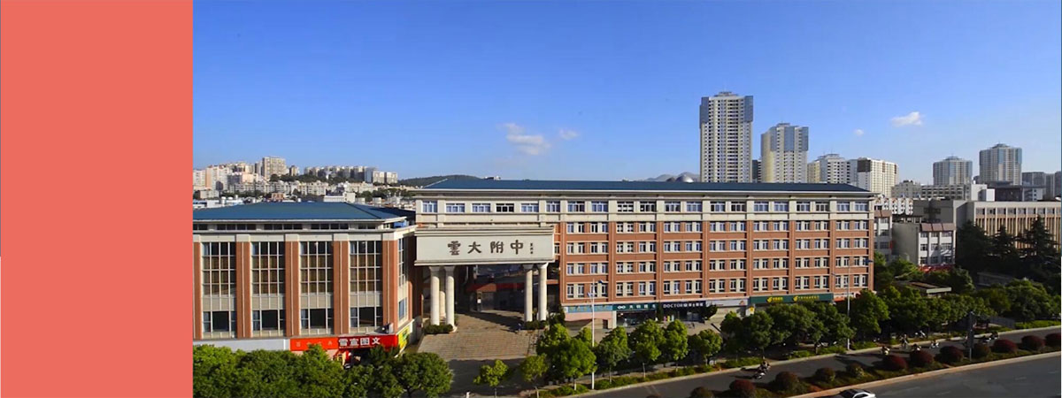 云大附中